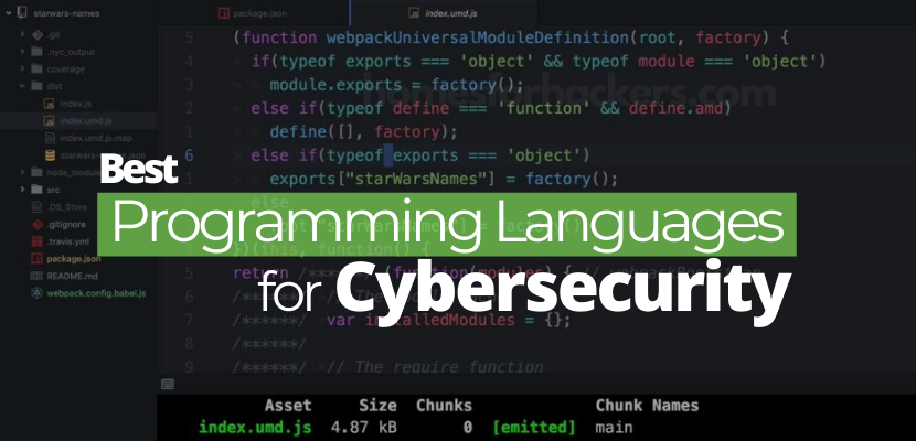 5 Must-Have Programming Languages for Cybersecurity