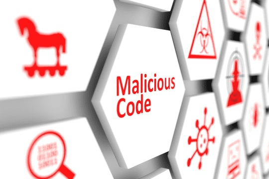 What are the different types of malicious code?