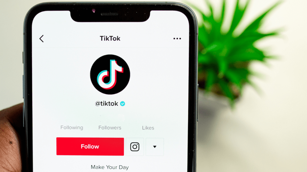 How does TikTok work